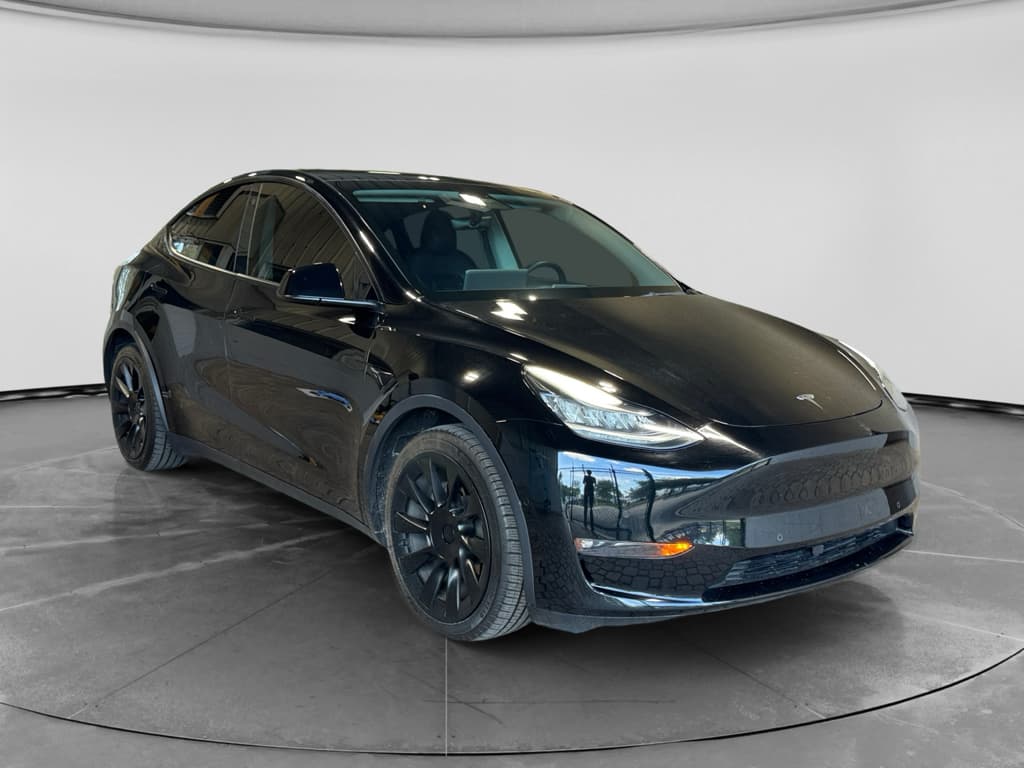 2021 Tesla Model Y view 4