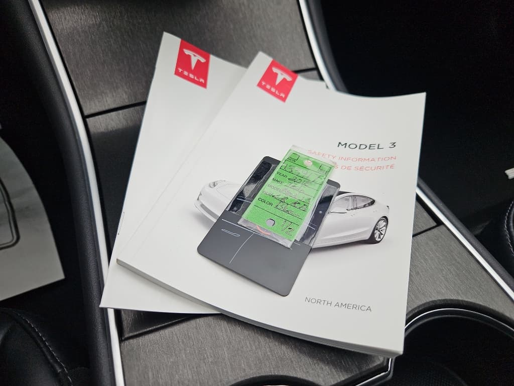 2018 Tesla Model 3 view 19