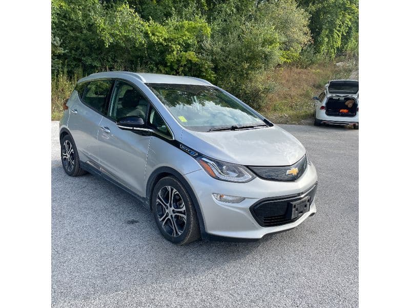 2019 Chevrolet Bolt EV view 8