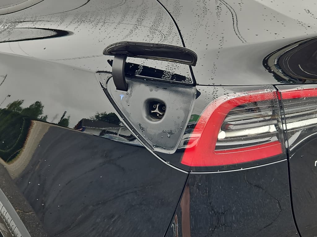 2023 Tesla Model Y view 5