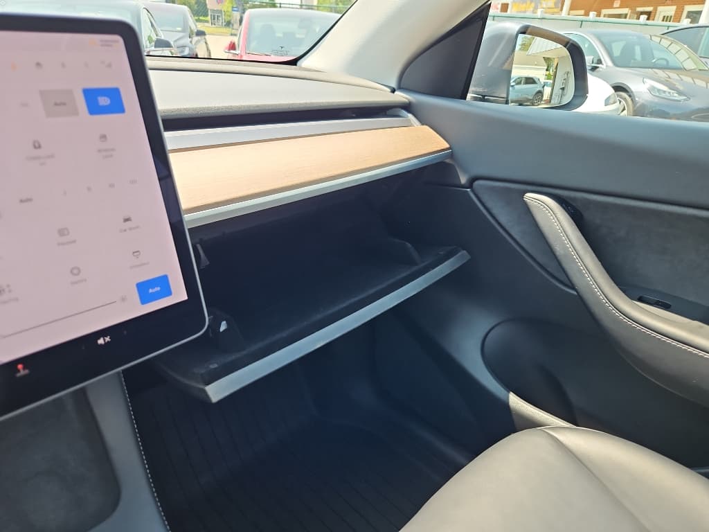 2021 Tesla Model Y view 15