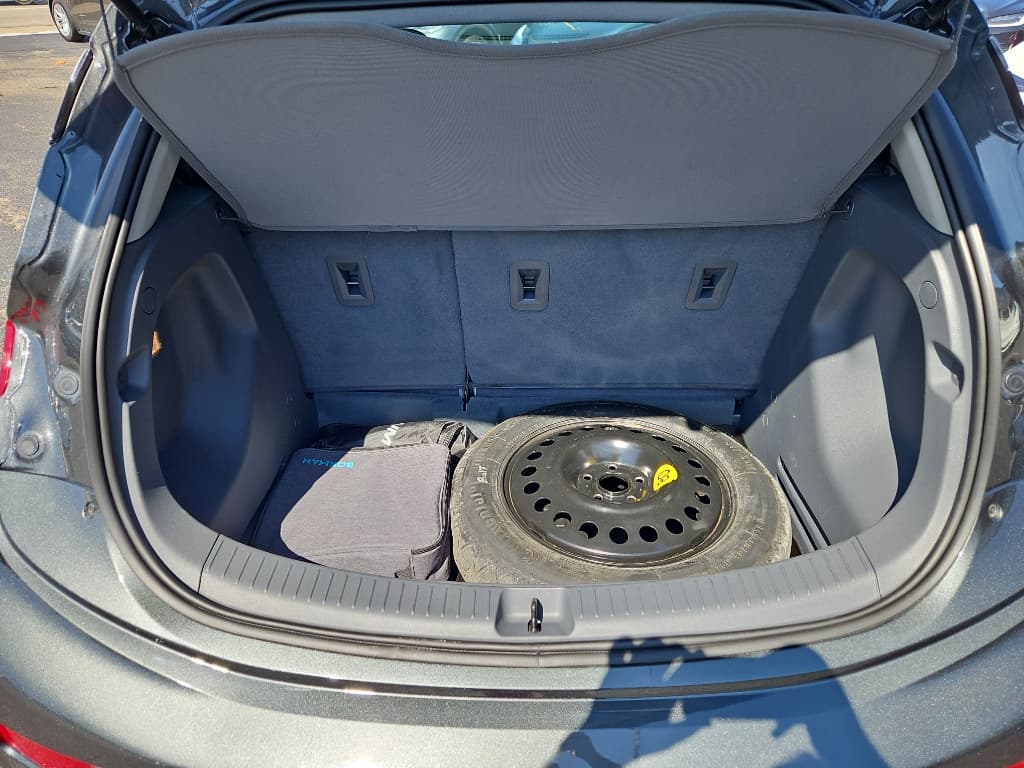2020 Chevrolet Bolt EV view 20