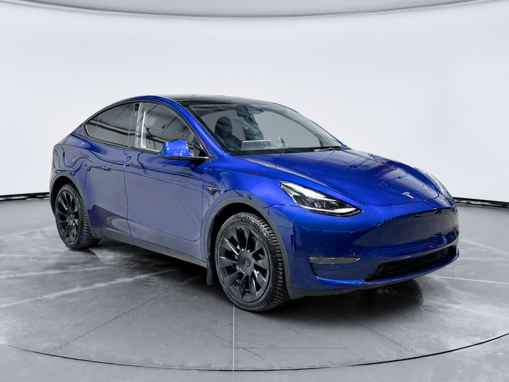 2023 Tesla Model Y view 4