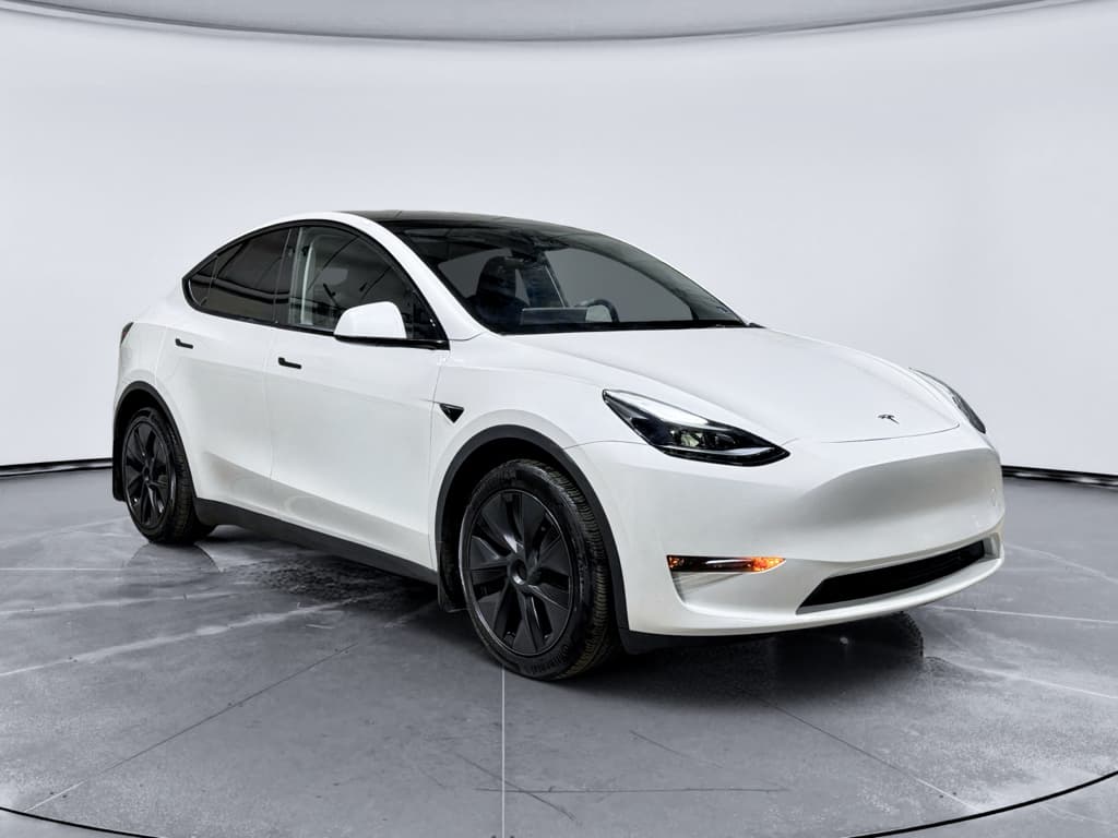 2024 Tesla Model Y view 4