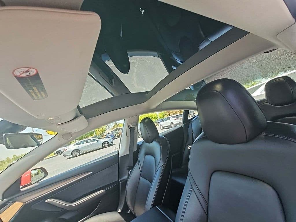2022 Tesla Model 3 view 6