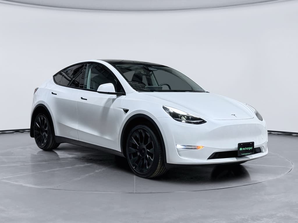 2023 Tesla Model Y view 4