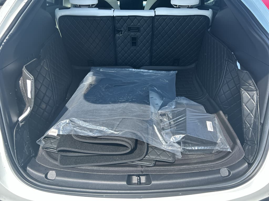 2021 Tesla Model Y view 19