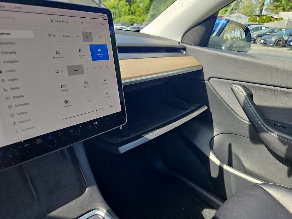 2021 Tesla Model Y view 14