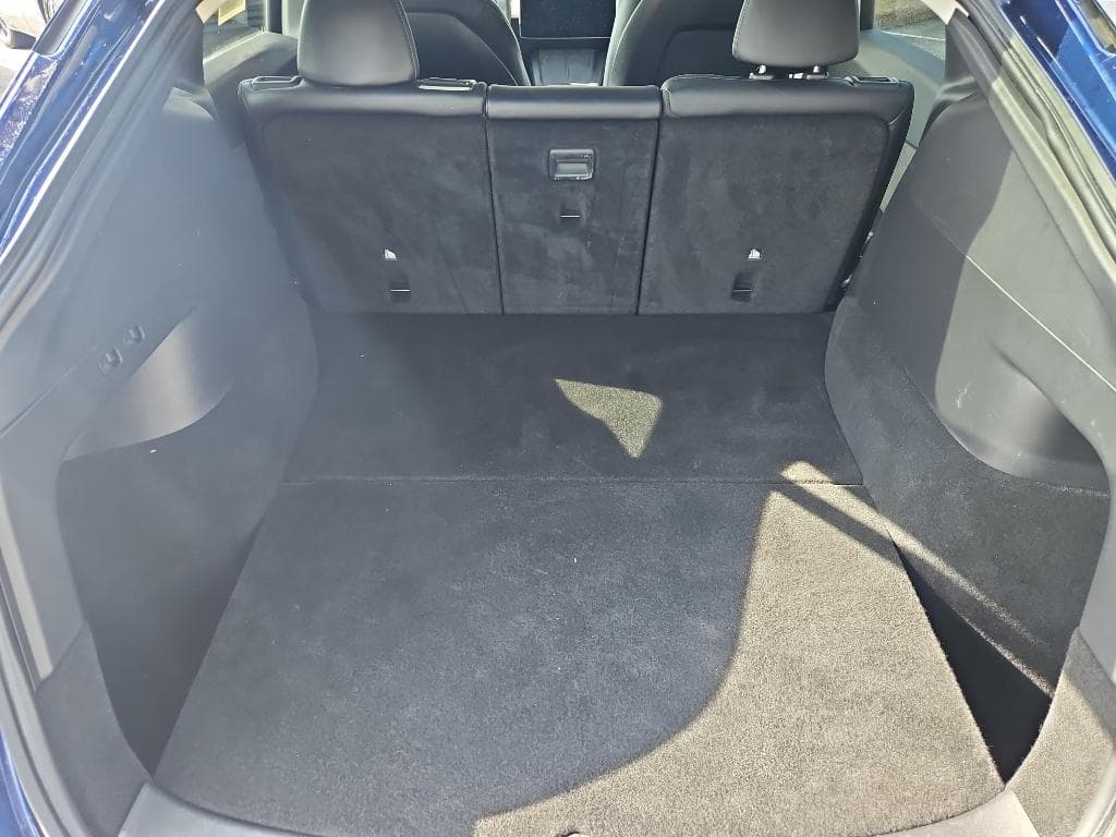 2021 Tesla Model Y view 18