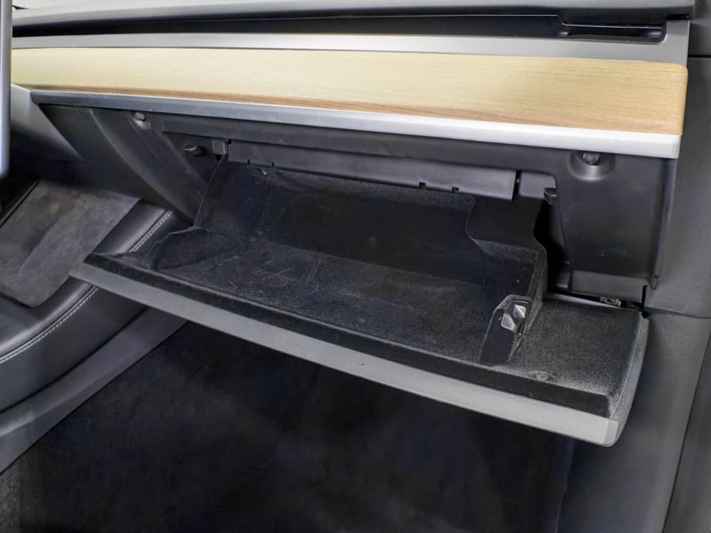 2021 Tesla Model Y view 19