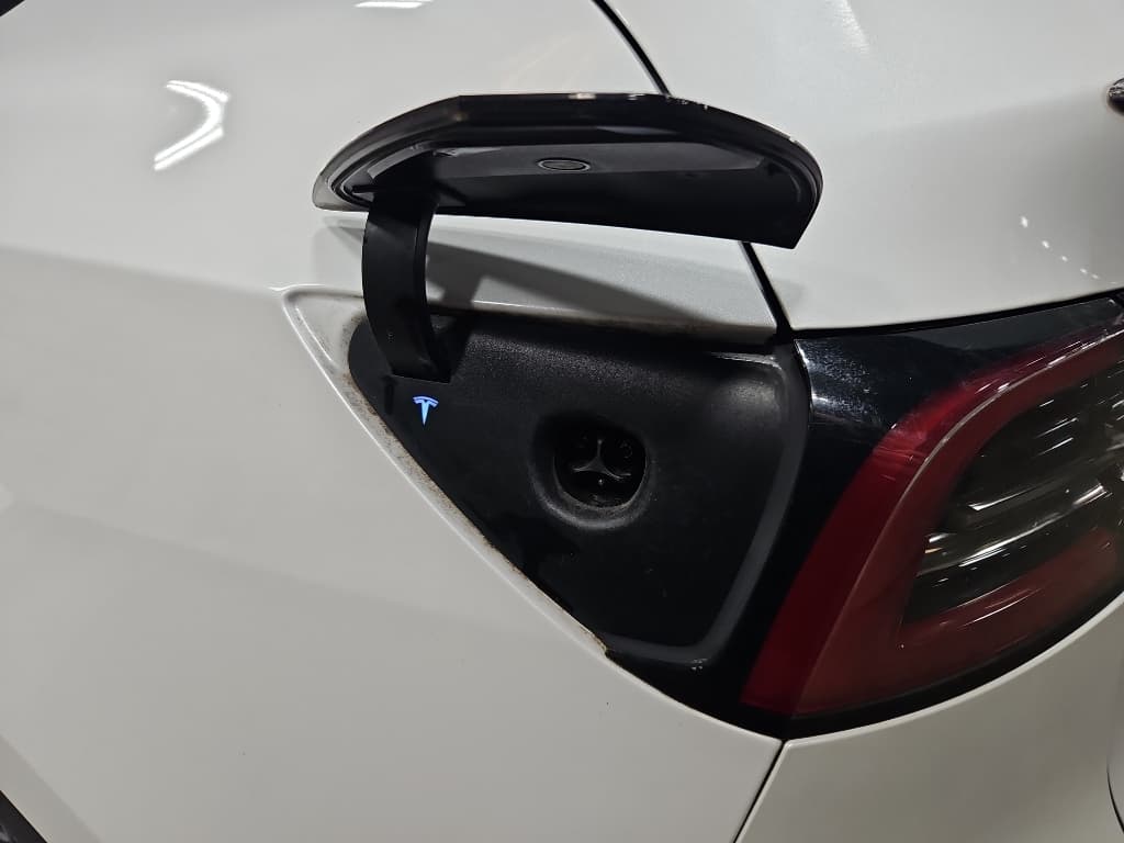 2021 Tesla Model Y view 5