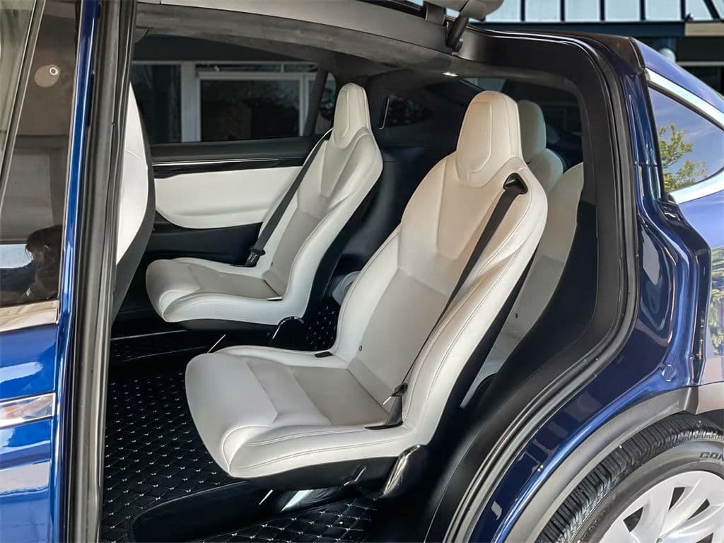 2019 Tesla Model X view 17