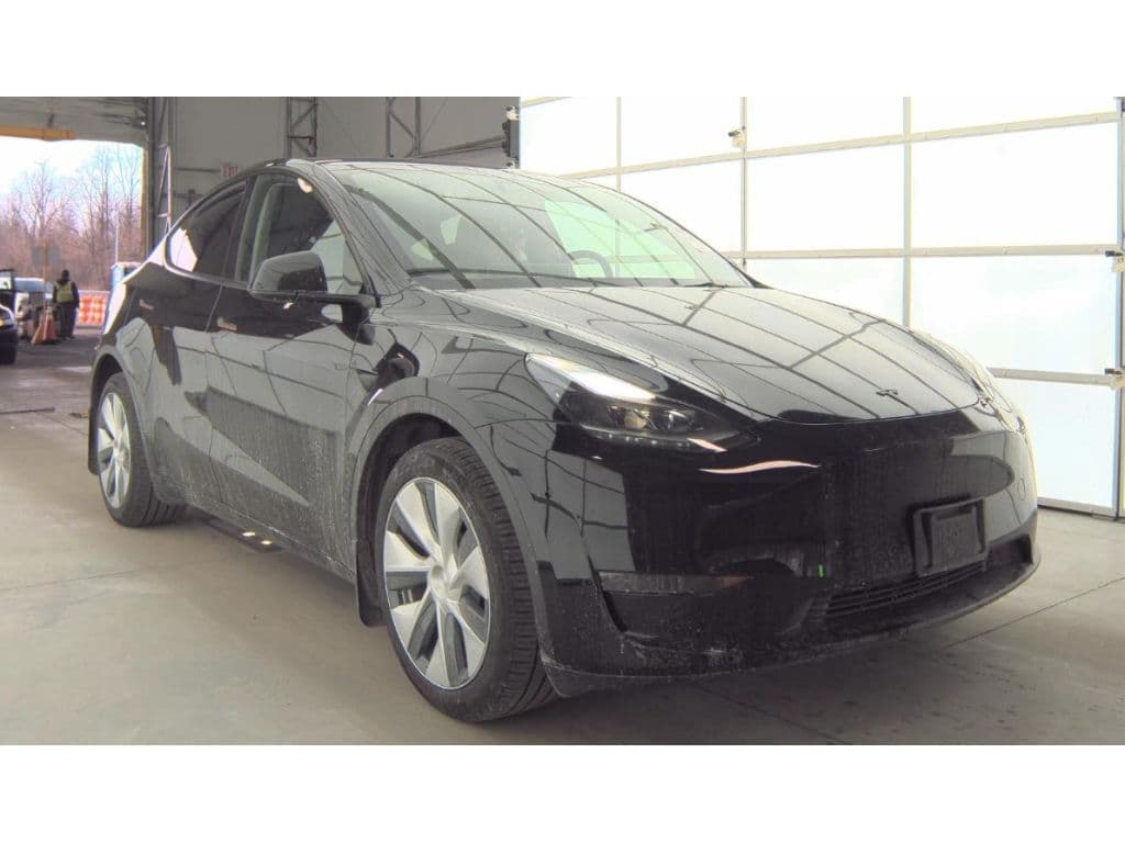 2023 Tesla Model Y view 2
