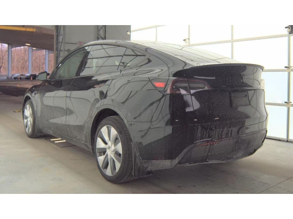 2023 Tesla Model Y view 4