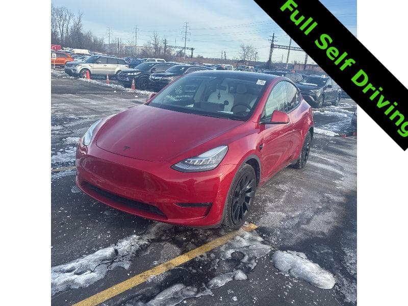 2021 Tesla Model Y view 1