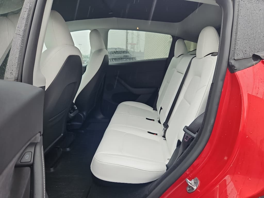 2023 Tesla Model Y view 6