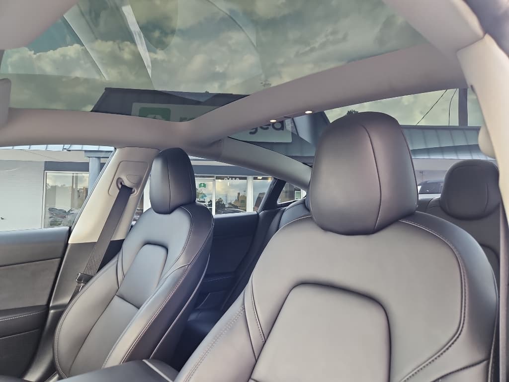2022 Tesla Model 3 view 17