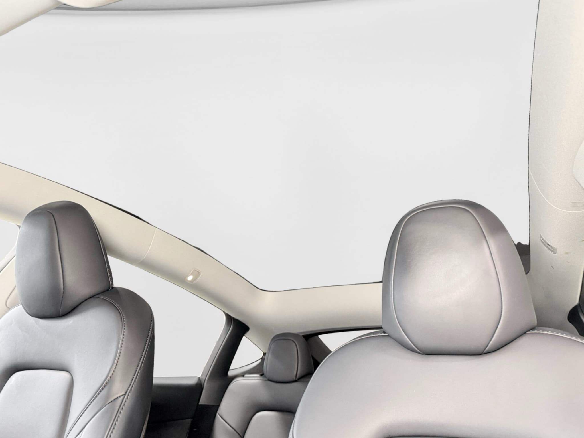 2024 Tesla Model Y view 22