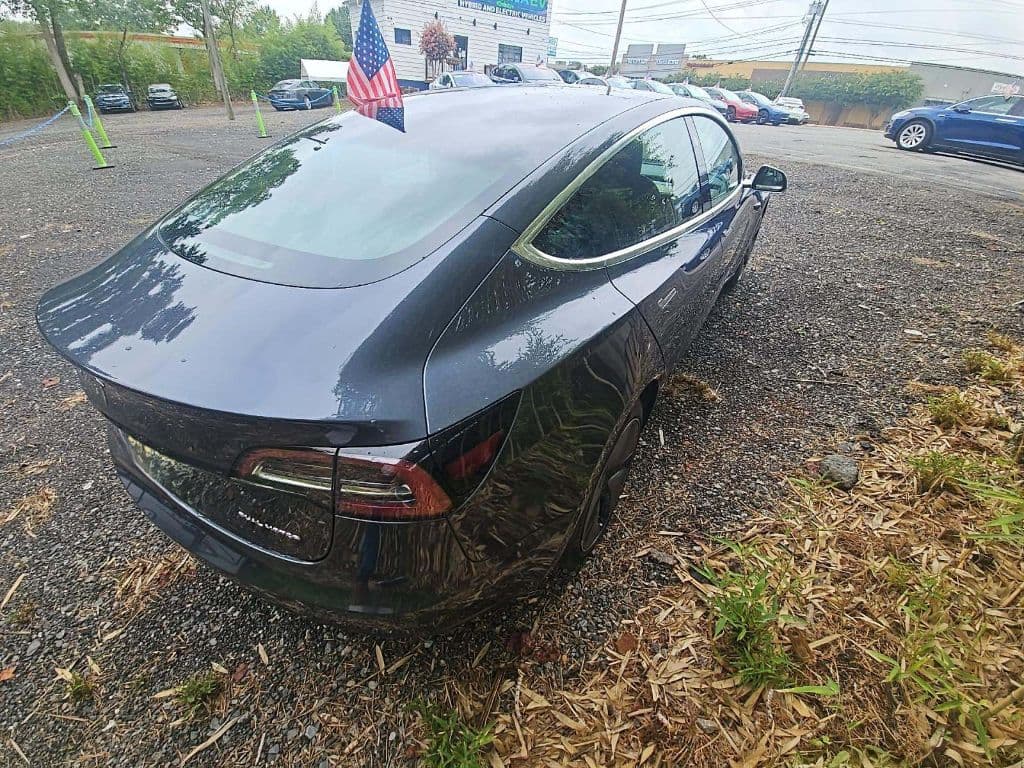 2019 Tesla Model 3 view 3