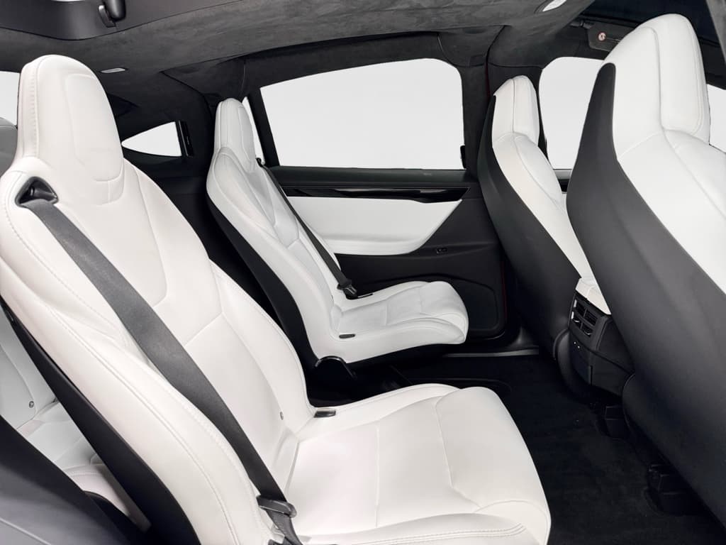 2019 Tesla Model X view 21