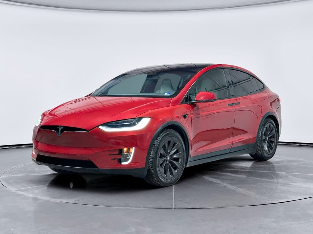 2019 Tesla Model X view 1