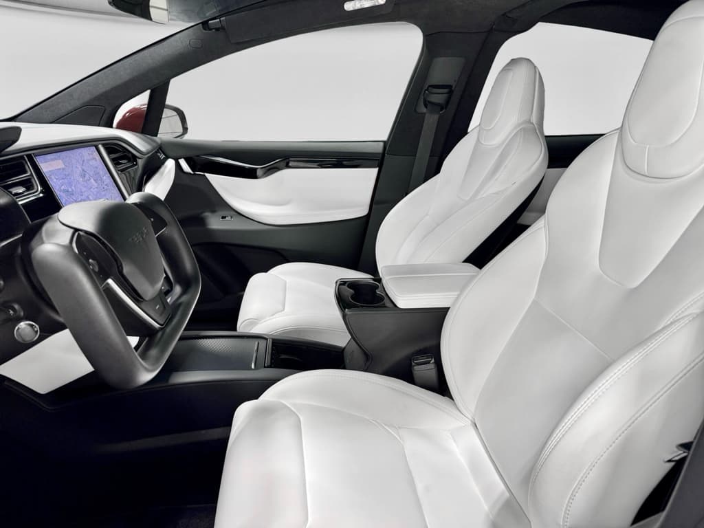 2019 Tesla Model X view 18