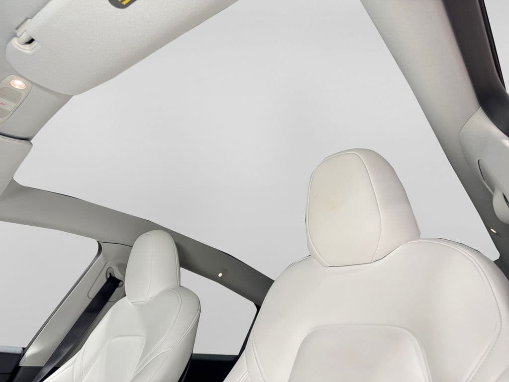 2023 Tesla Model Y view 8