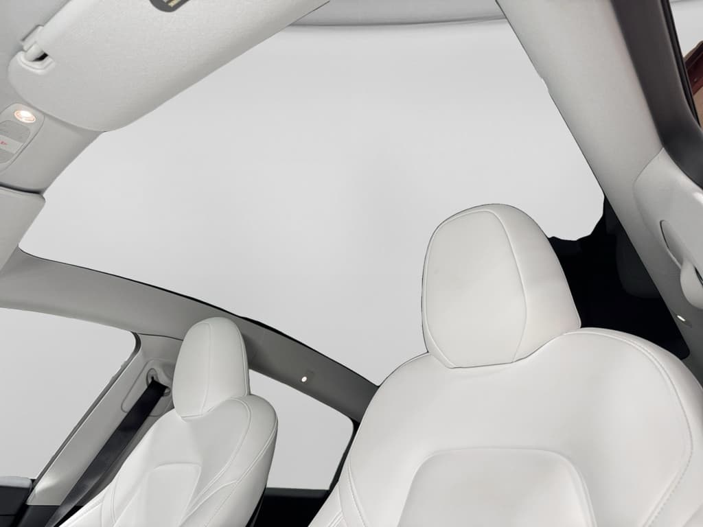 2023 Tesla Model Y view 21