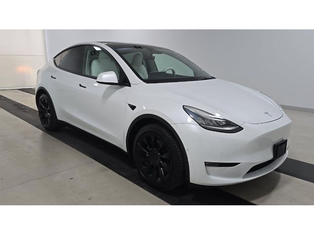 2021 Tesla Model Y view 2