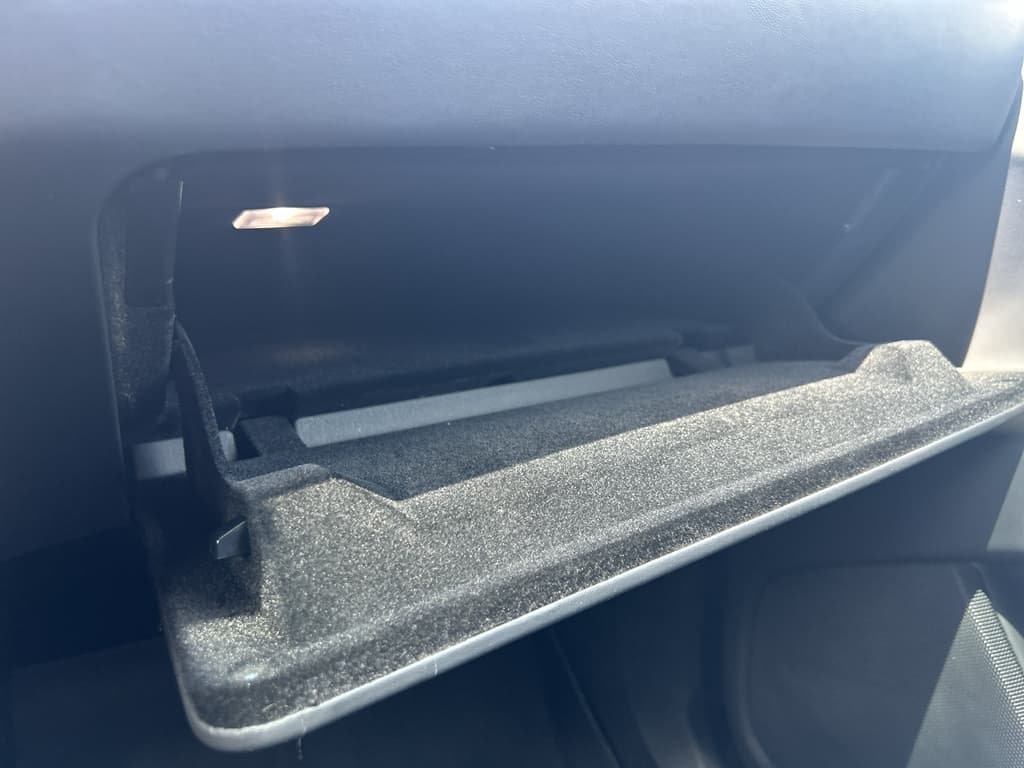 2020 Tesla Model X view 15