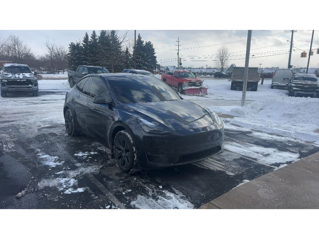 2025 Tesla Model Y view 2