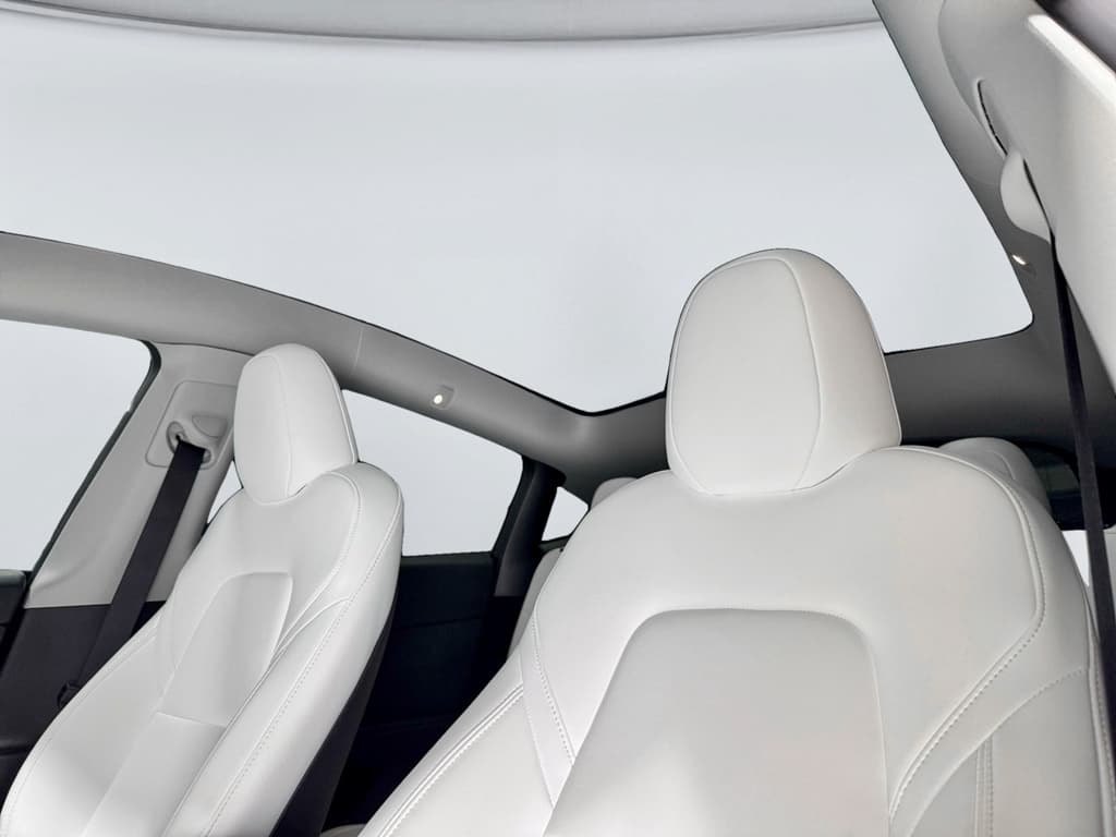 2025 Tesla Model Y view 22