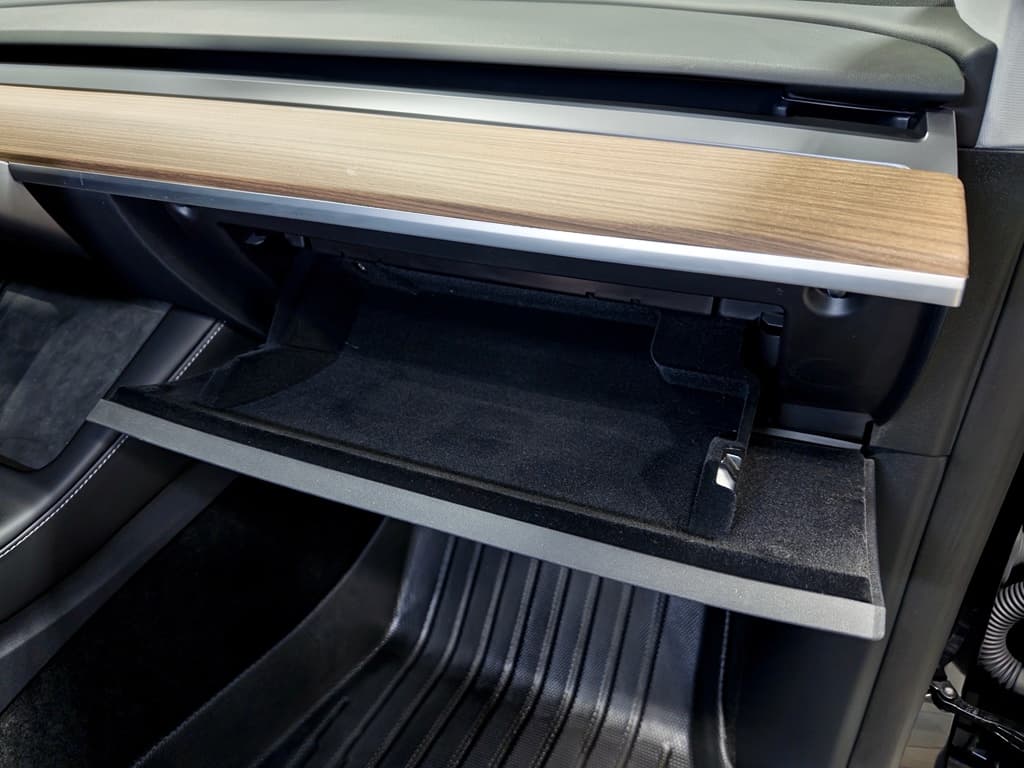 2025 Tesla Model Y view 18