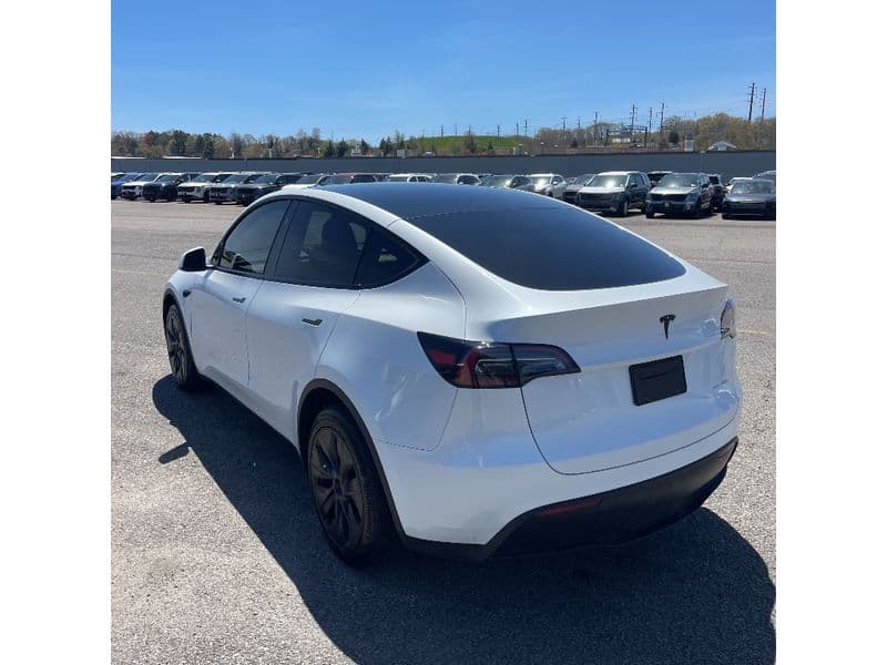 2025 Tesla Model Y view 3