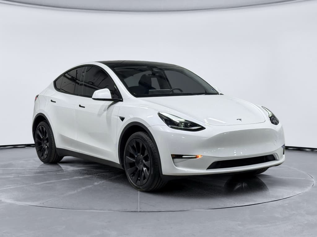 2024 Tesla Model Y view 4
