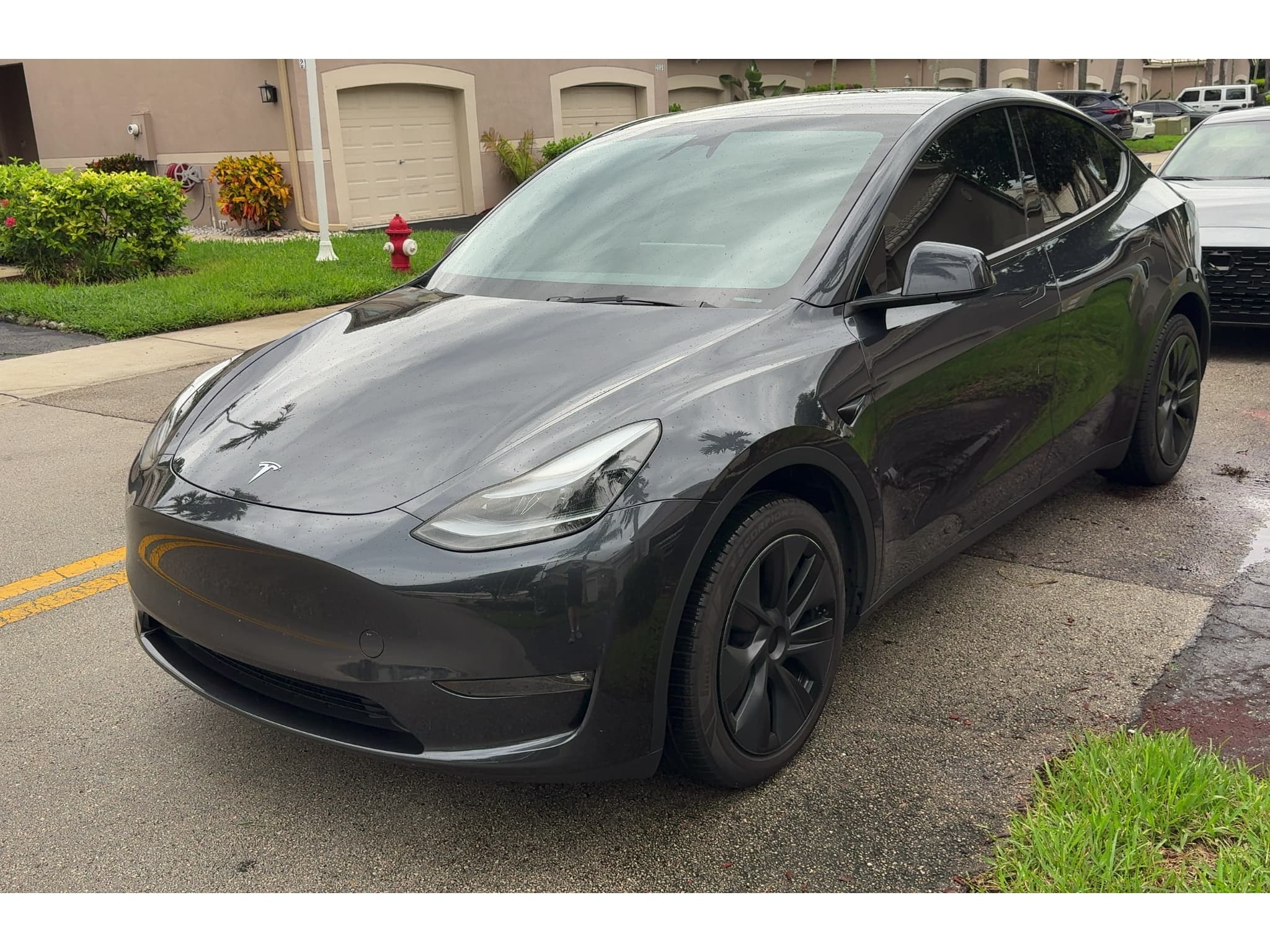 2025 Tesla Model Y view 1