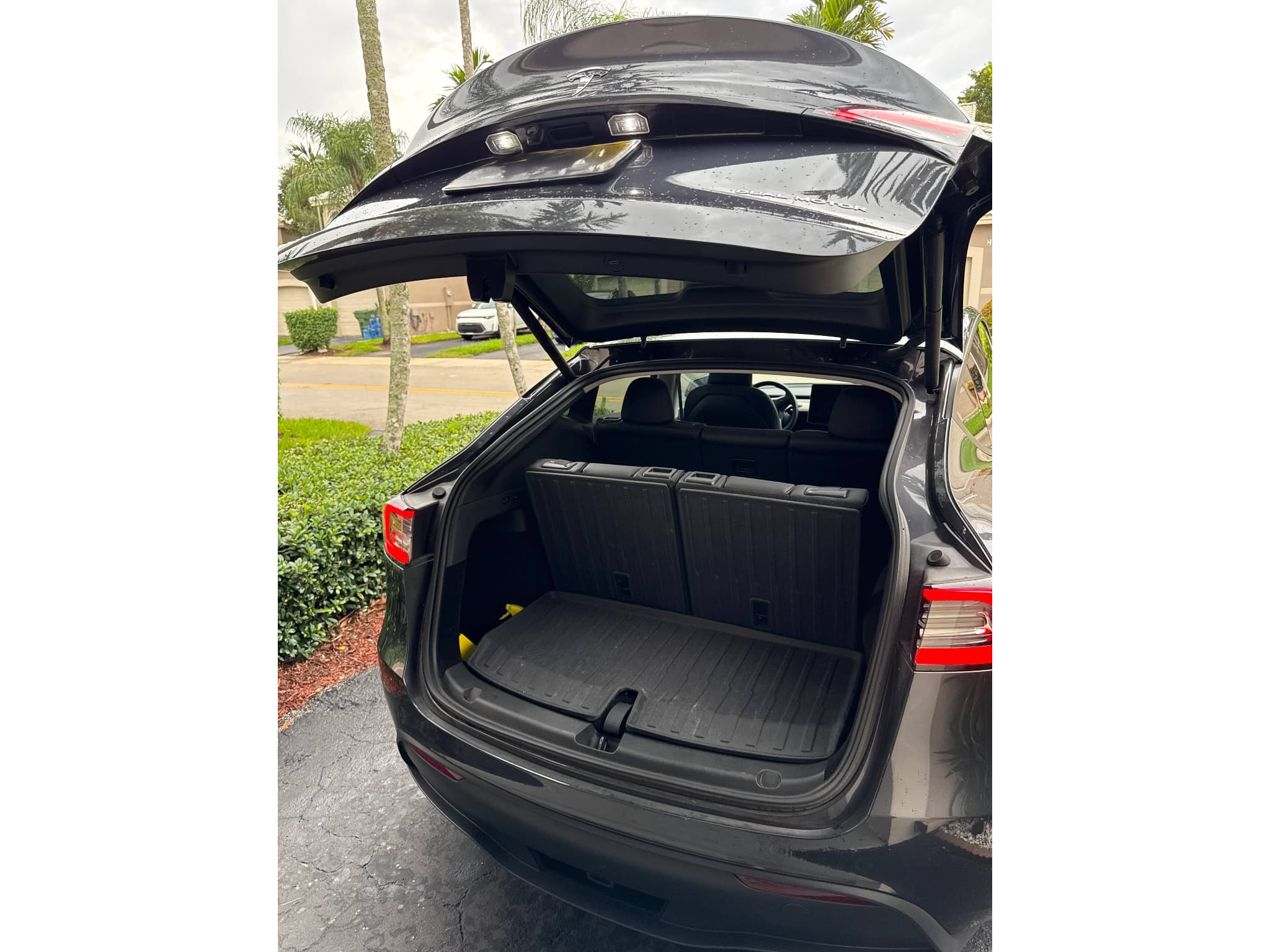 2025 Tesla Model Y view 10