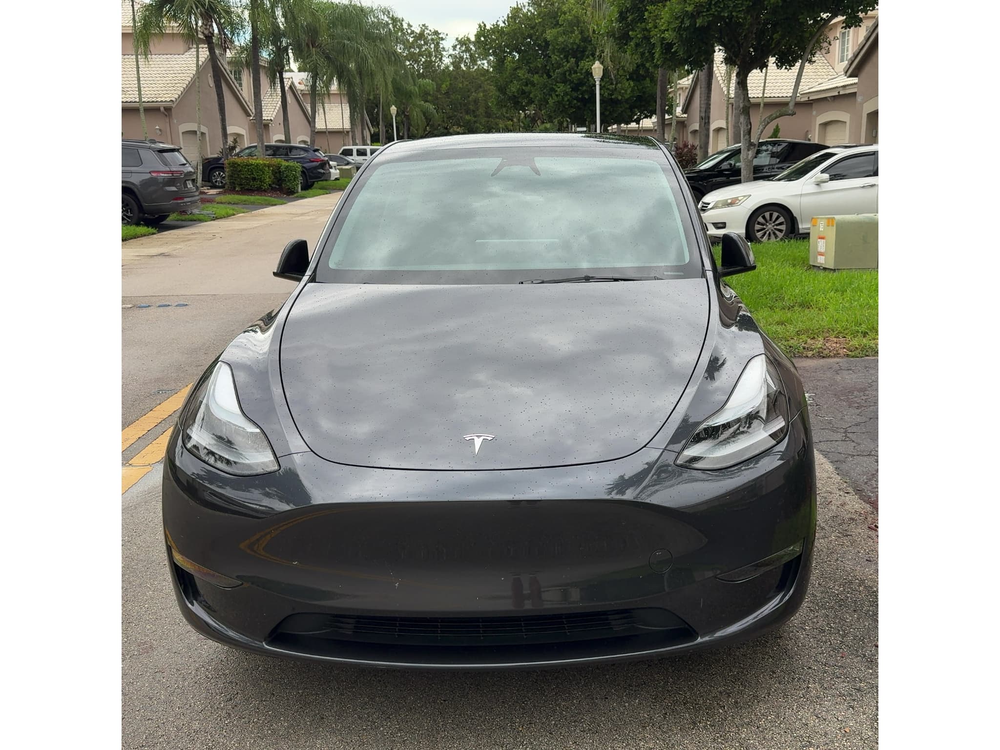 2025 Tesla Model Y view 2