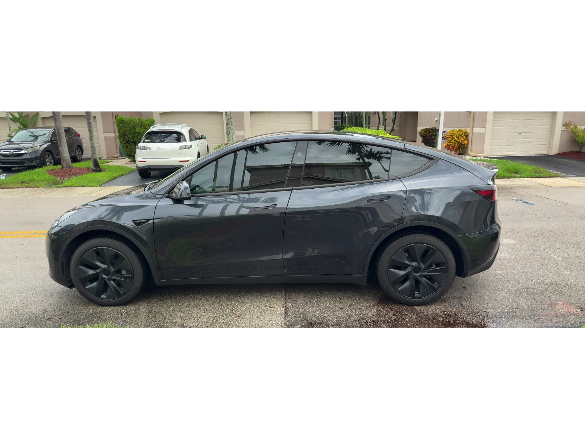 2025 Tesla Model Y view 5