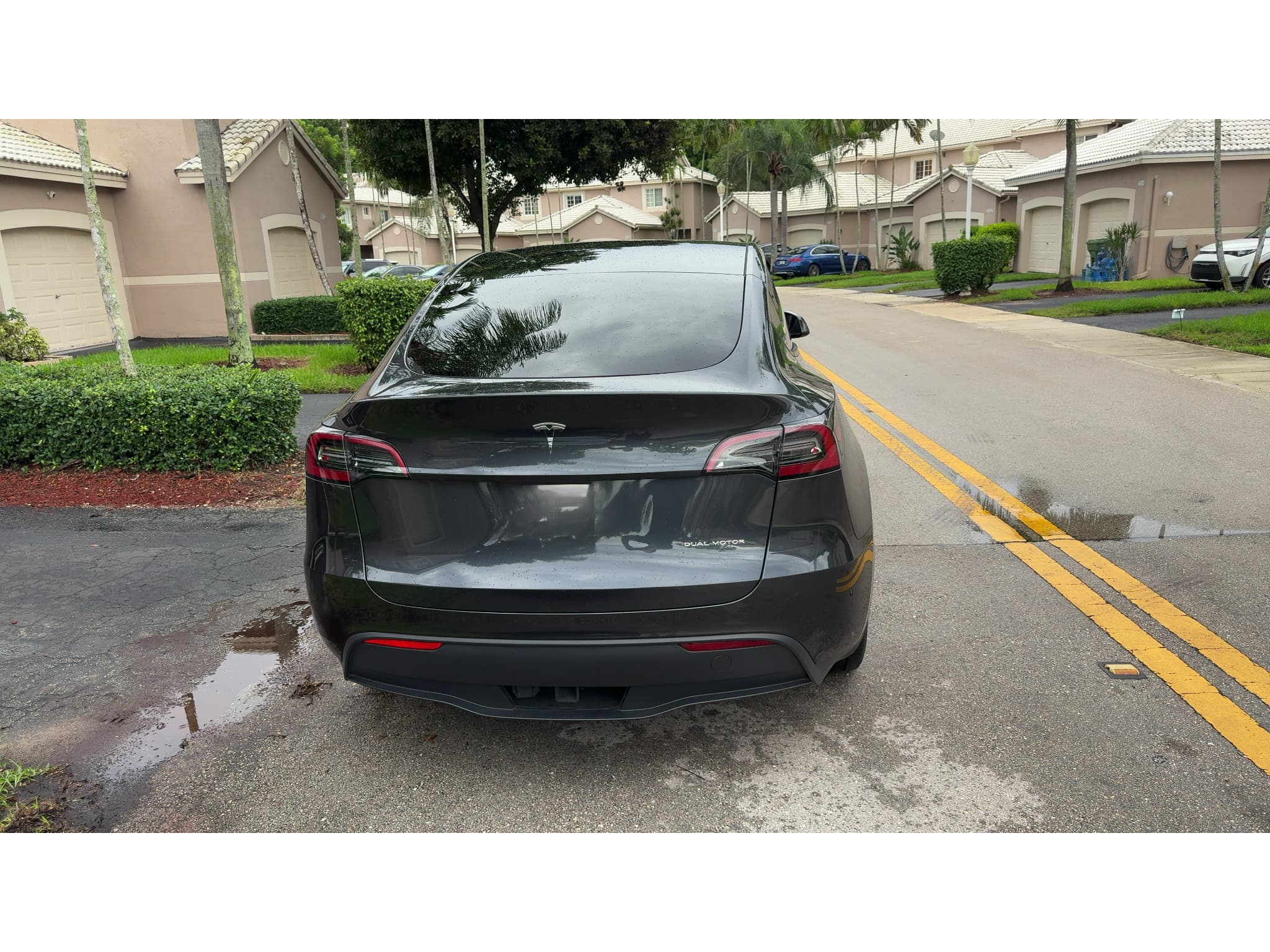 2025 Tesla Model Y view 7