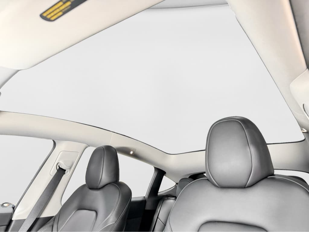 2025 Tesla Model Y view 22