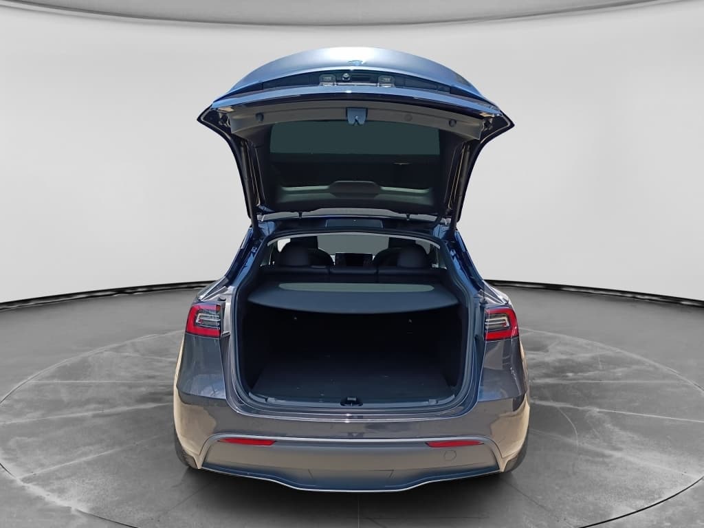 2024 Tesla Model Y view 6