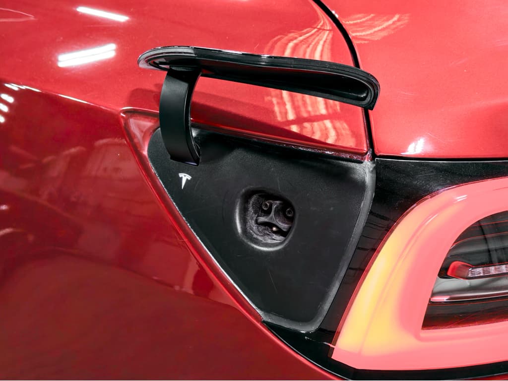 2022 Tesla Model 3 view 5