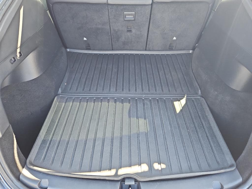2021 Tesla Model Y view 18