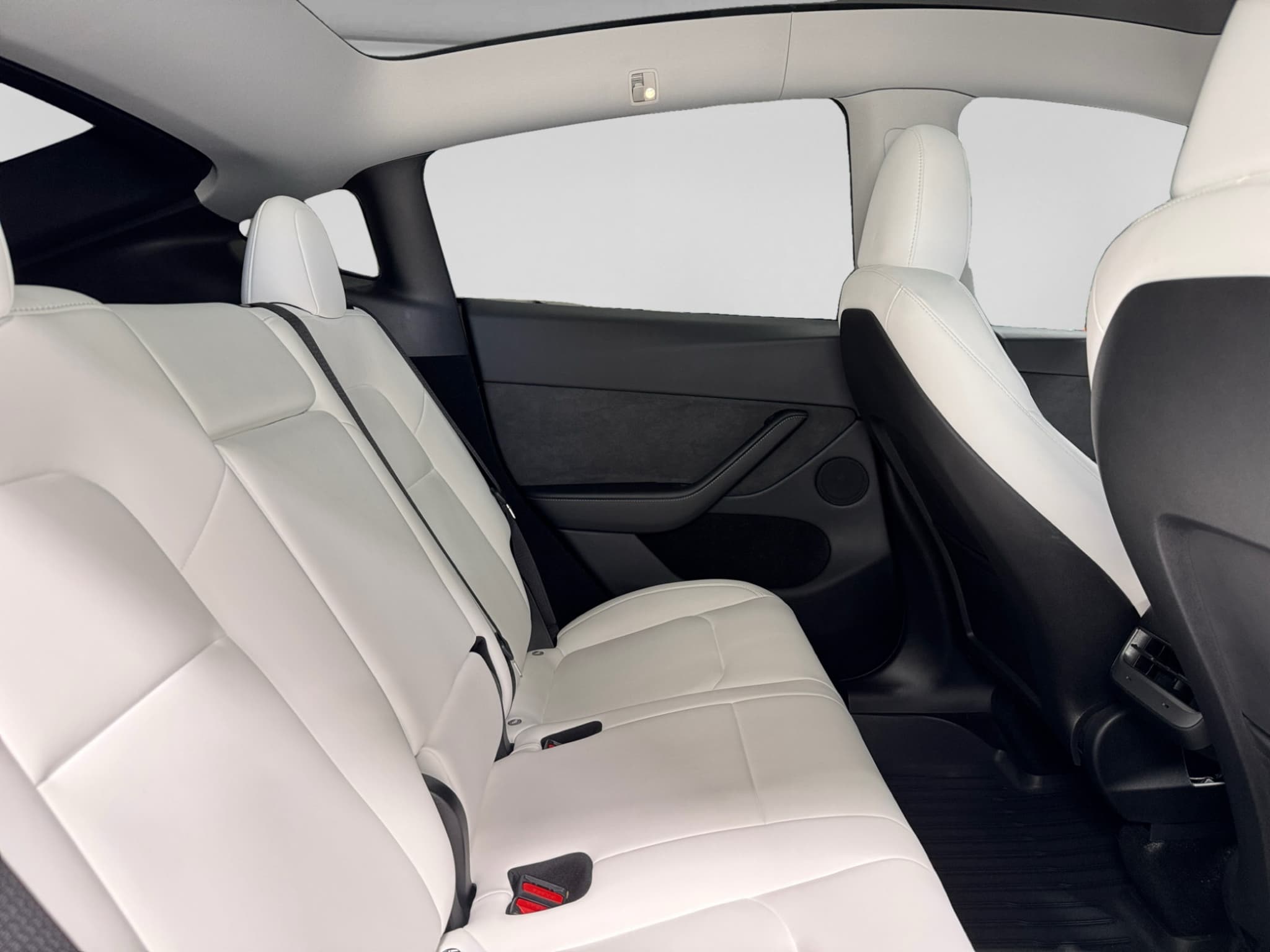 2024 Tesla Model Y view 21