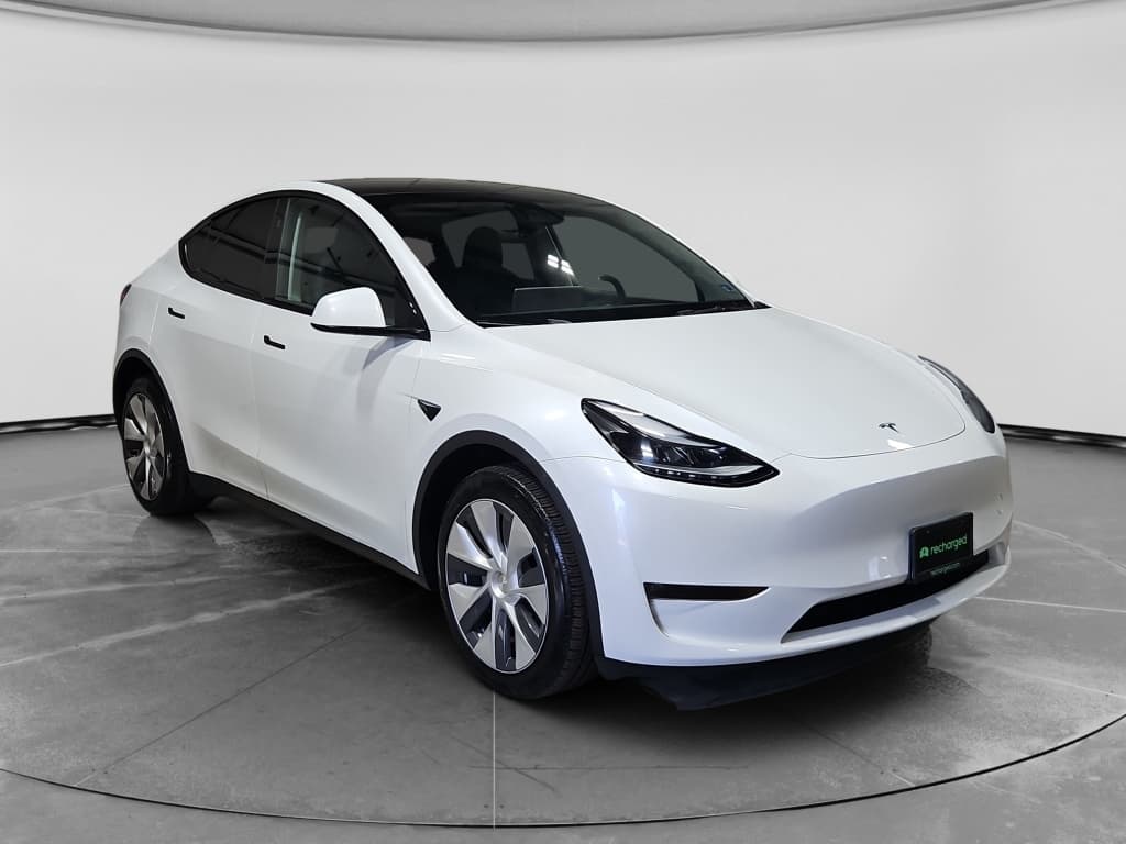 2024 Tesla Model Y view 4