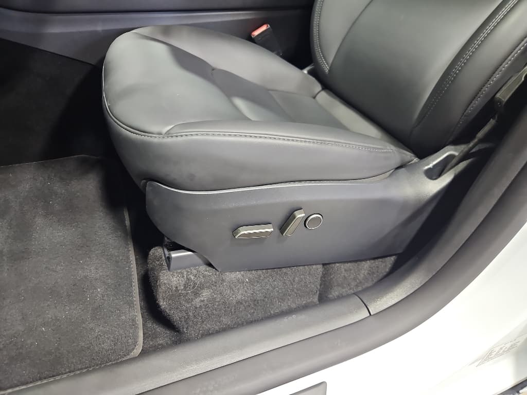 2024 Tesla Model Y view 6