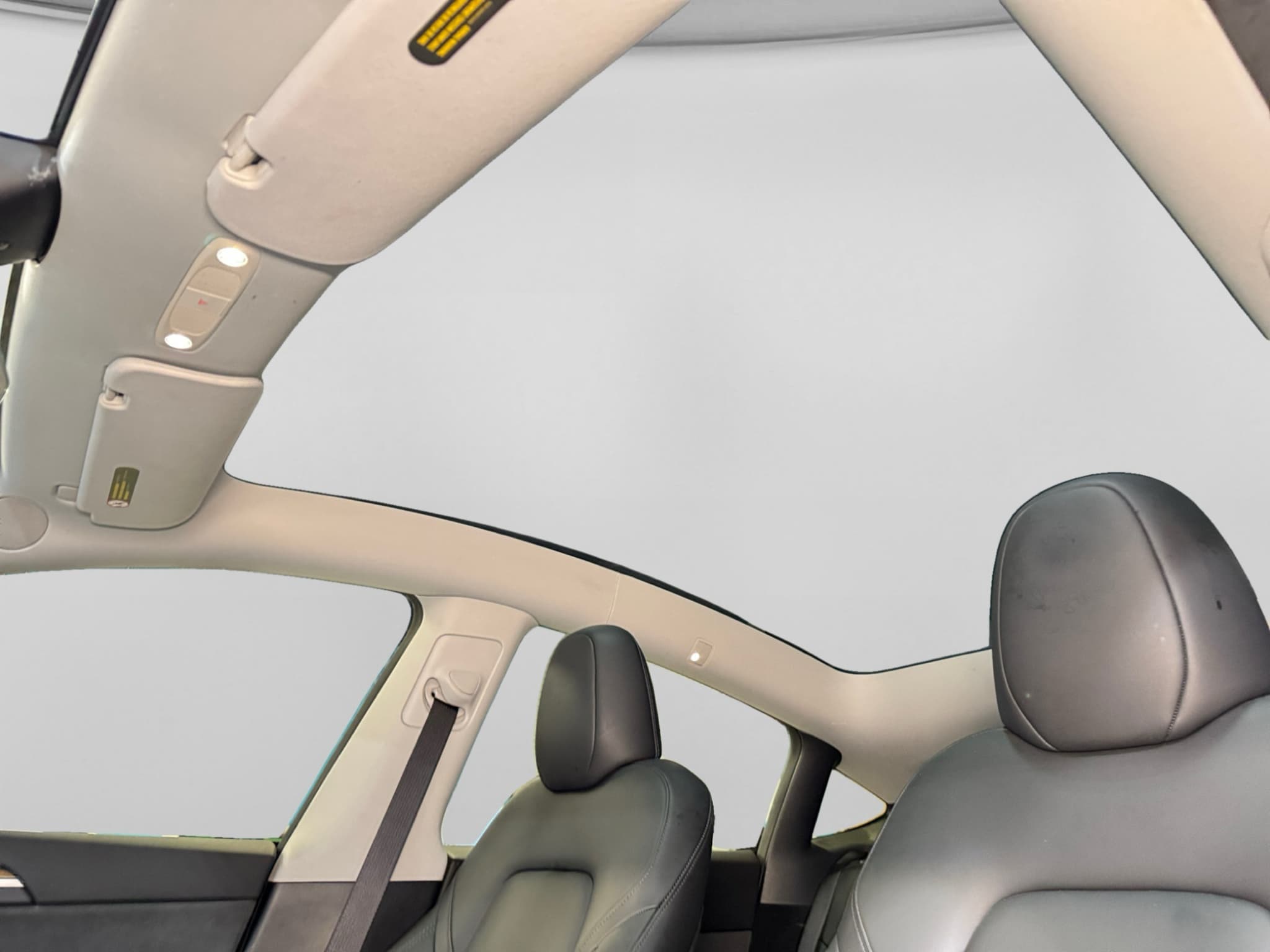 2024 Tesla Model Y view 21