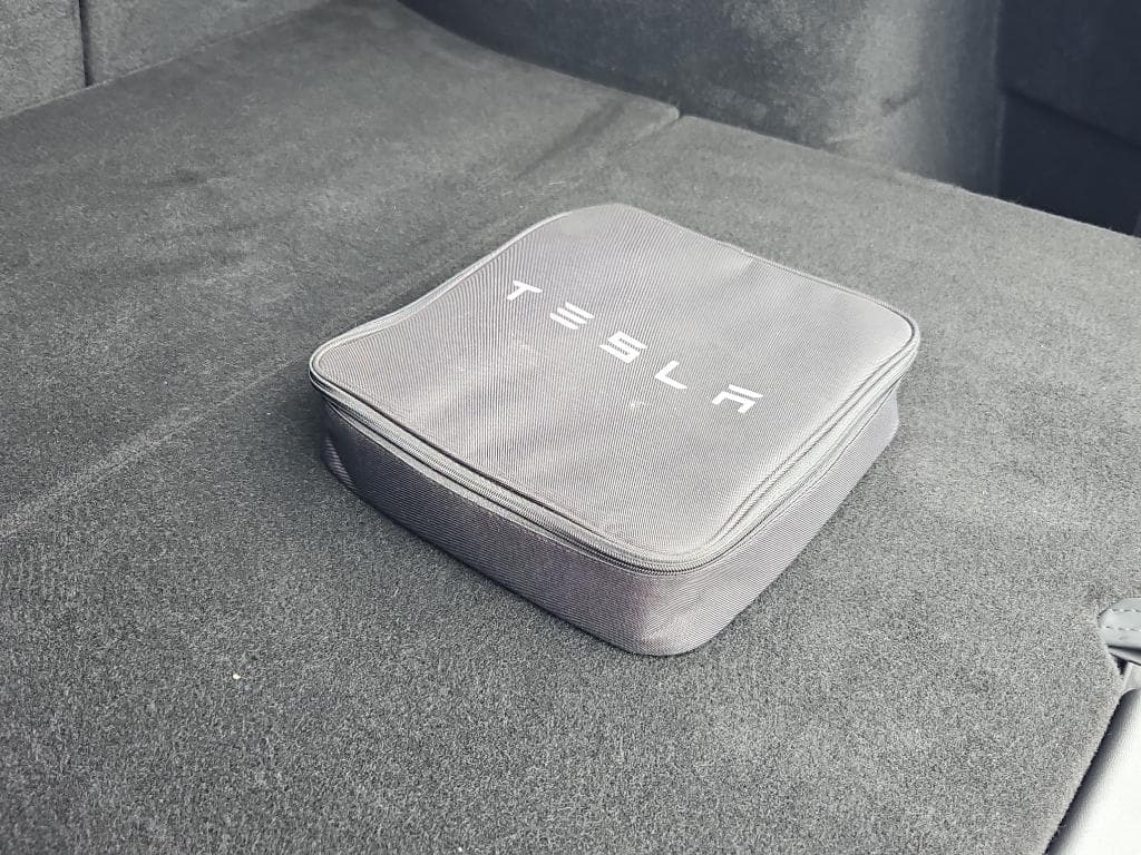 2021 Tesla Model Y view 6