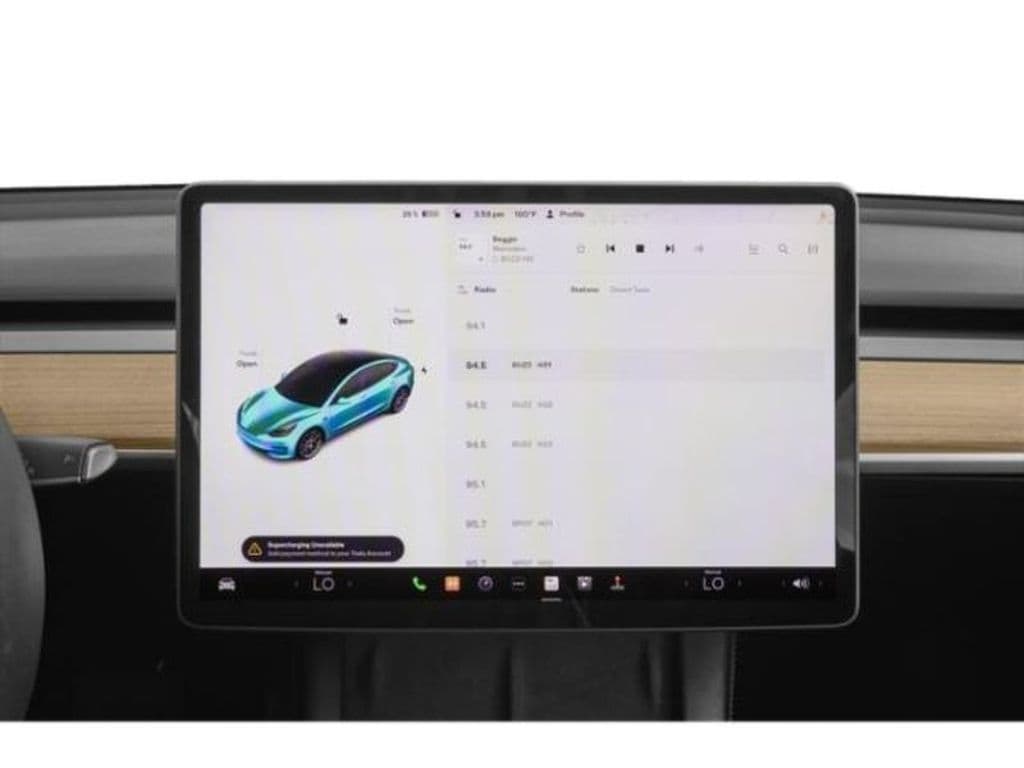 2021 Tesla Model 3 view 11